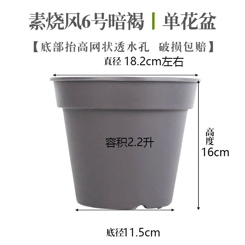 【爱丽思圆盆】朱顶红种植盆圆形花盆