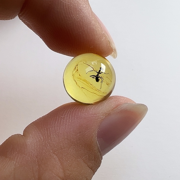 虫珀未镶嵌颈饰虫珀