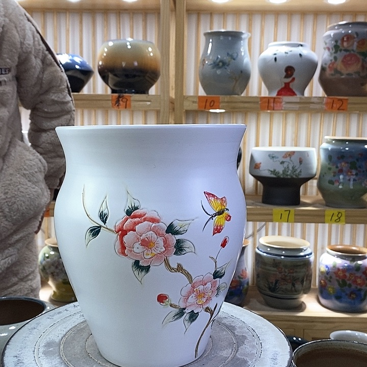 罐陶瓷陶瓷观察观察