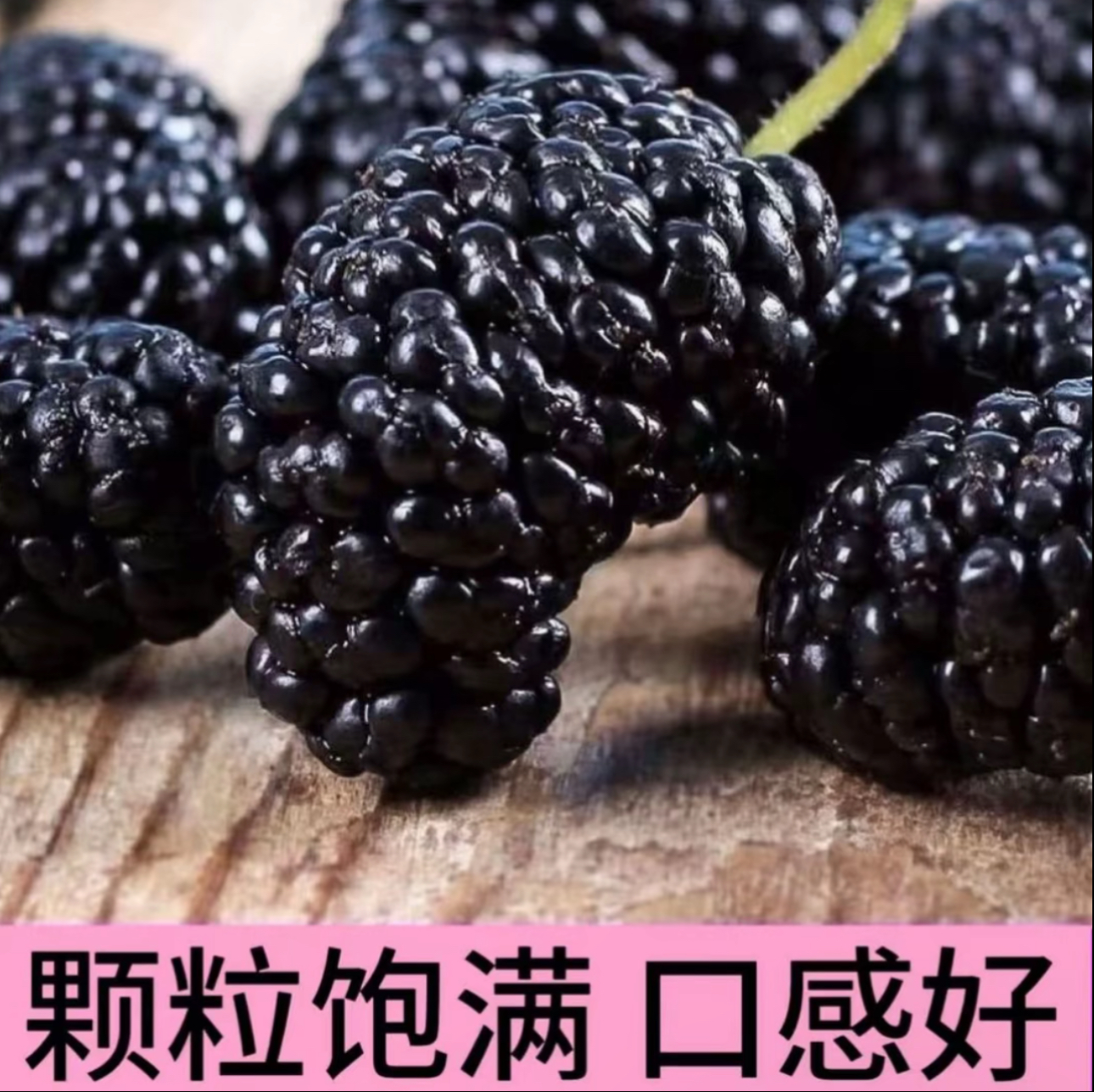 【意能达大能】桑葚干 四川道地 水洗品质可直接食用 好颗粒