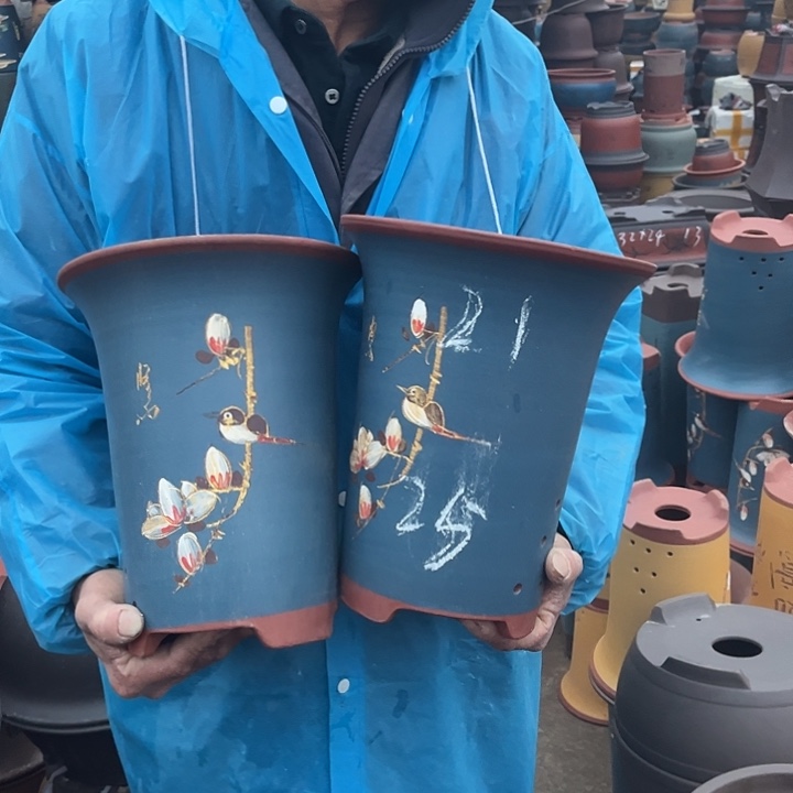 紫砂紫砂花盆和一条