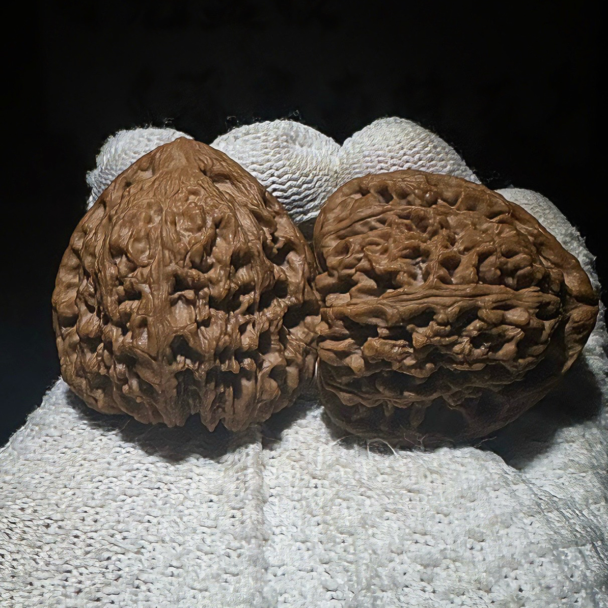 文玩核桃专拍链接8.8-99.99