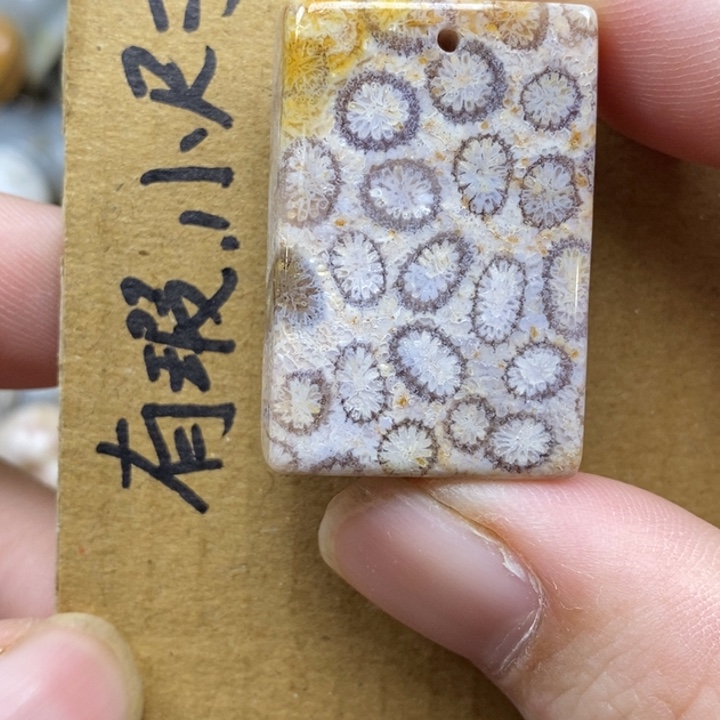 硅化珊瑚（珊瑚玉）未镶嵌颈饰