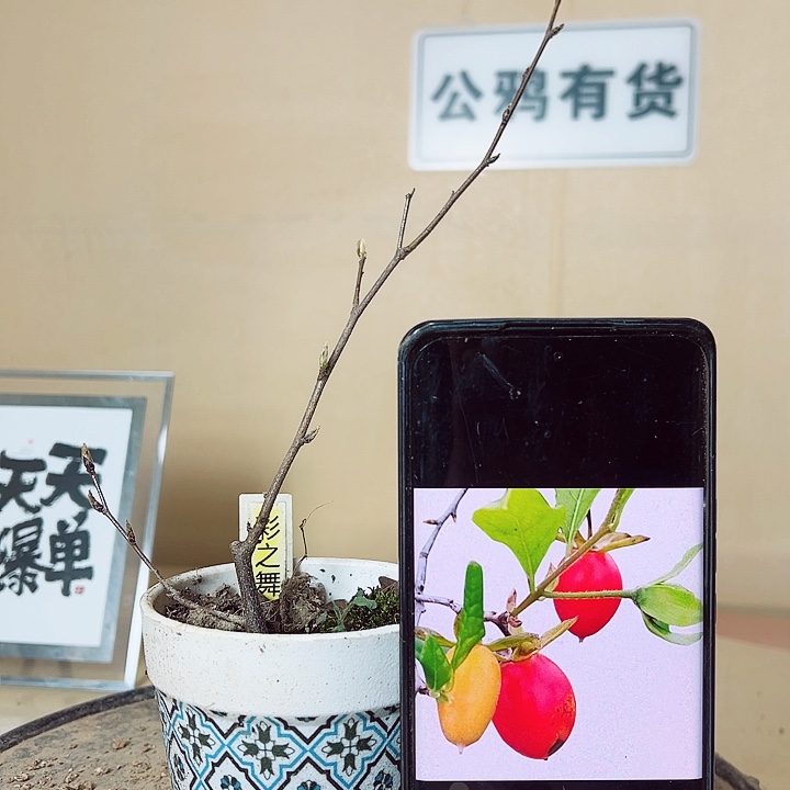 蓝****无花朵哈哈哈哈哈哈