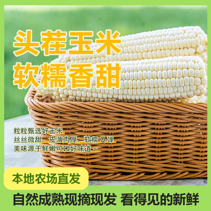 （可试吃2根）正宗头茬白糯玉米口感软糯香甜带皮带箱5斤