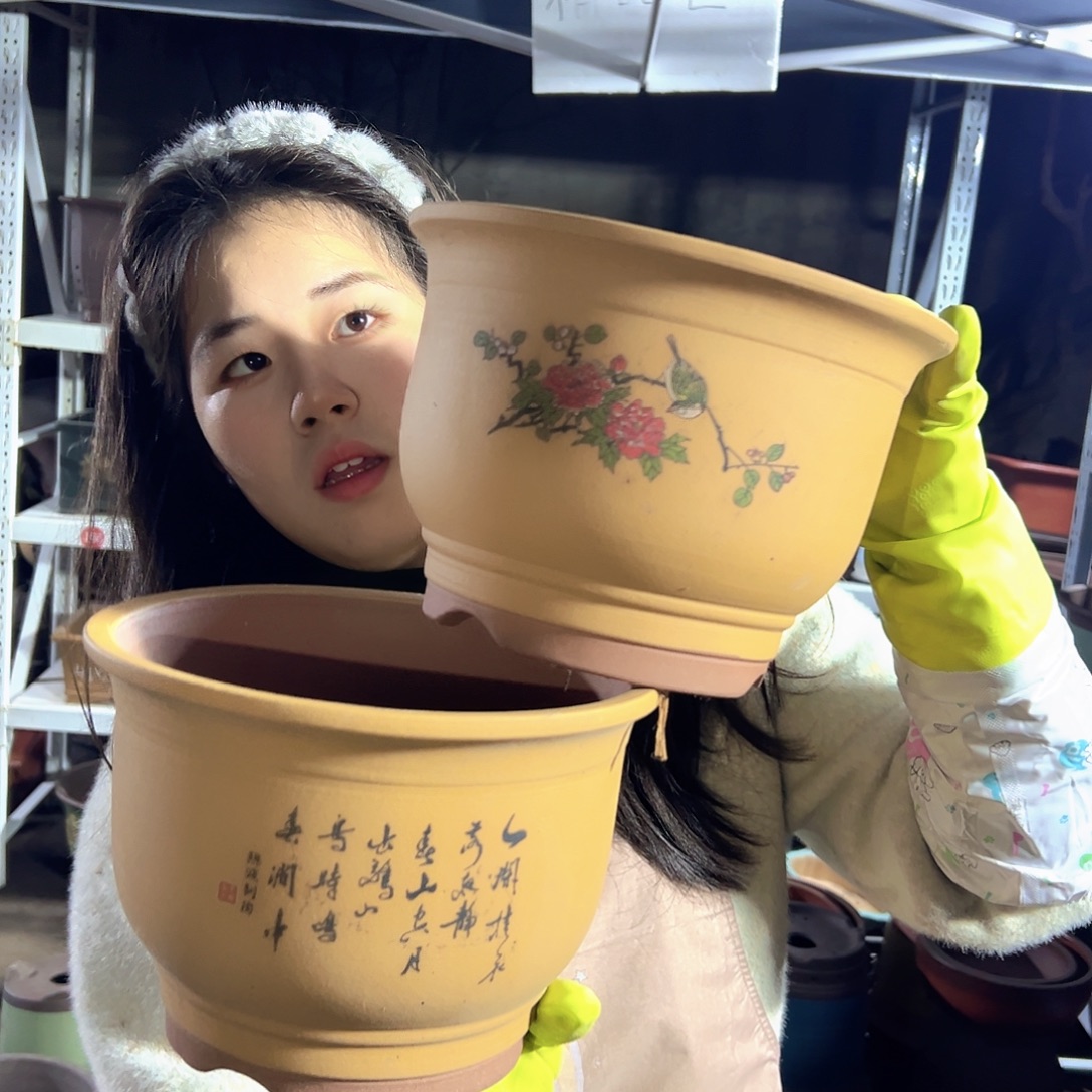 黄色鸟语花香中号一对