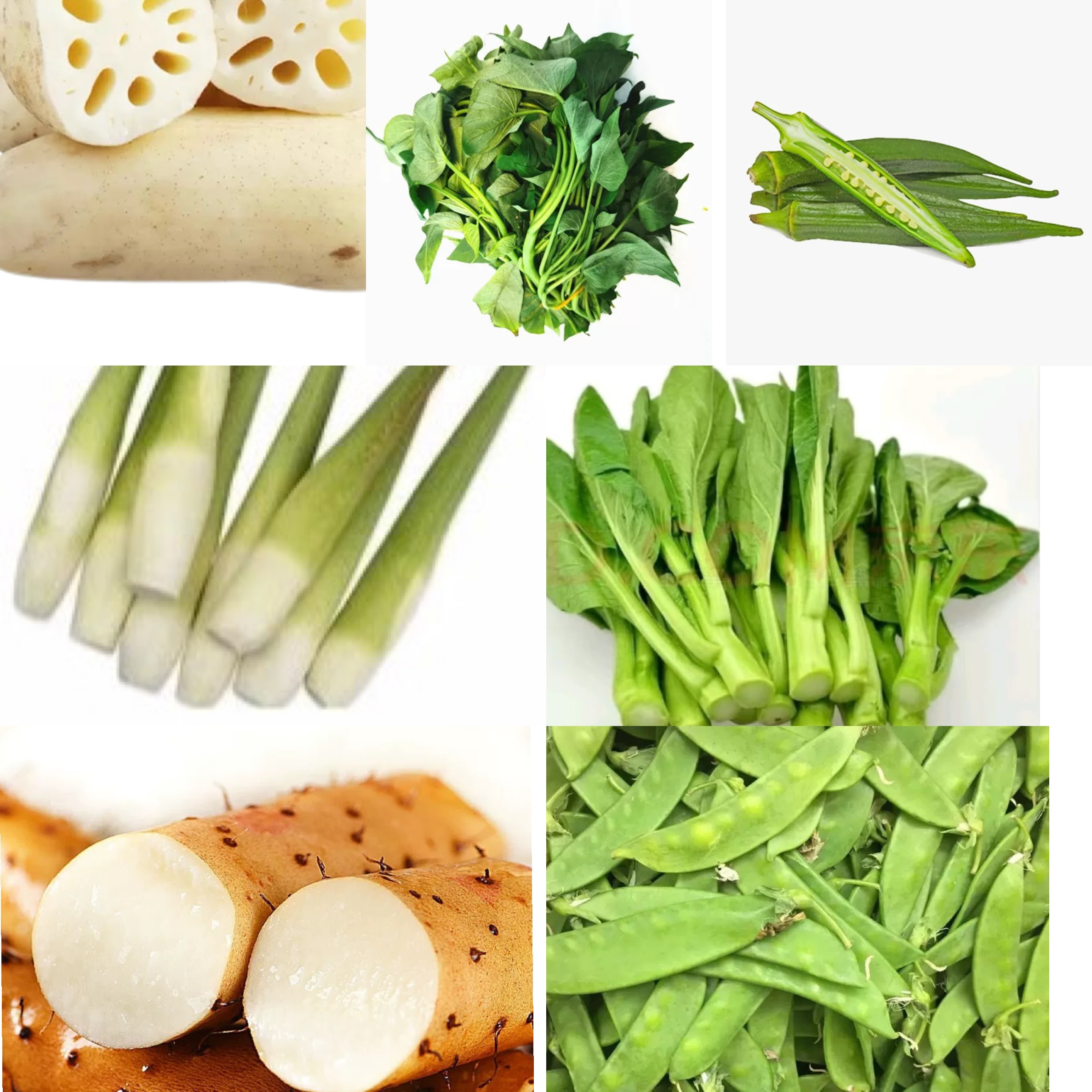 绿建清新小炒套餐（藕，荷兰豆，山药，菜心，茭白，秋葵等）