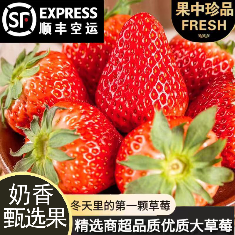 小果福利装】顺丰空运辽宁丹东99草莓次日达礼盒新鲜送礼孕妇水果