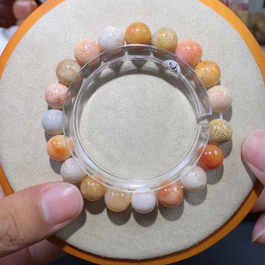 硅化珊瑚（珊瑚玉）手链未镶嵌冰彩凤尾38