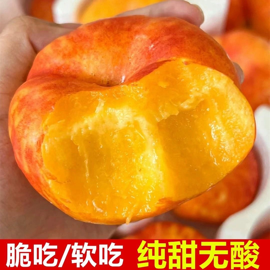 【蒙阴、彩虹油蟠桃】s爆甜爆汁软硬两吃果园现摘现发