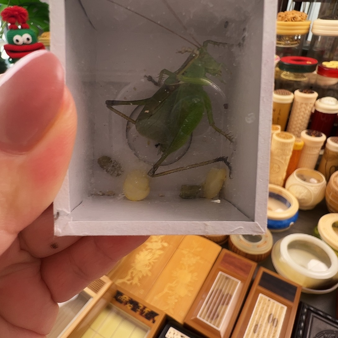 m***s哈哈哈哈哈扎嘴一个