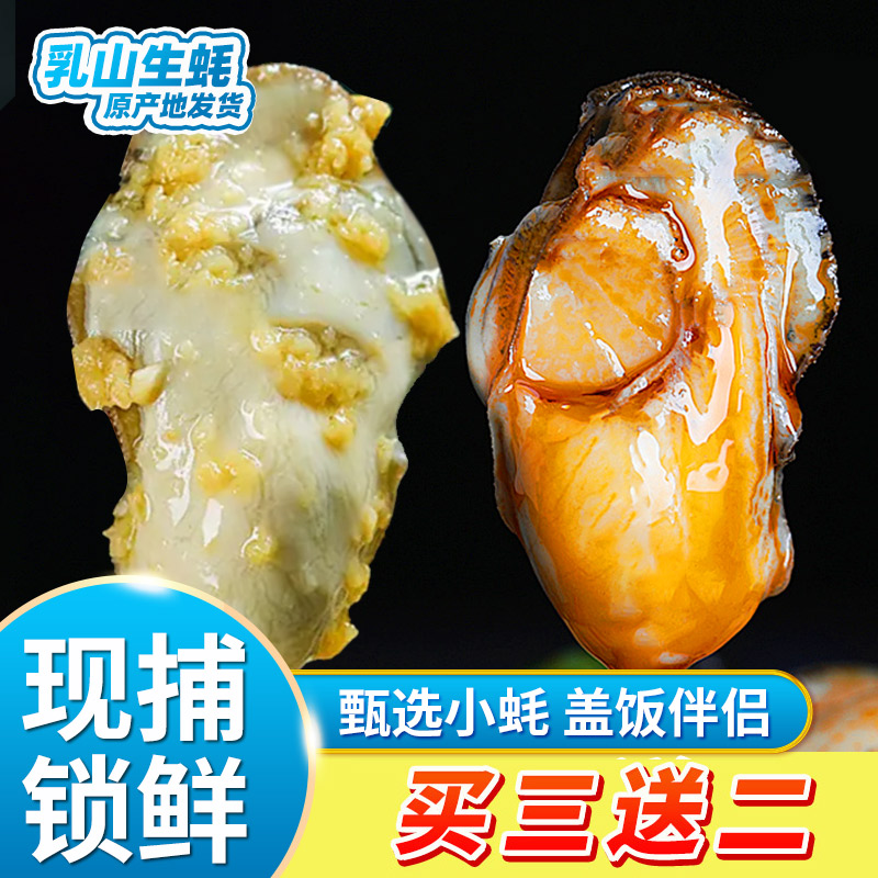 【饭面伴侣超值大满罐】即食生蚝现取海鲜蒜蓉麻辣生蚝甄选小蚝4