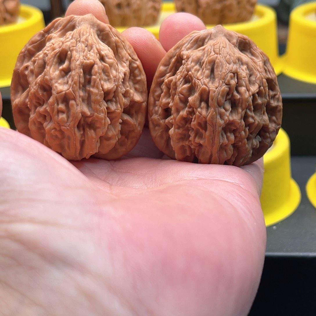 文玩核桃吊坠40麦穗虎头