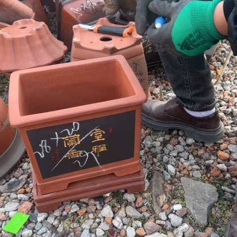 红陶紫砂花盆盆景盆栽