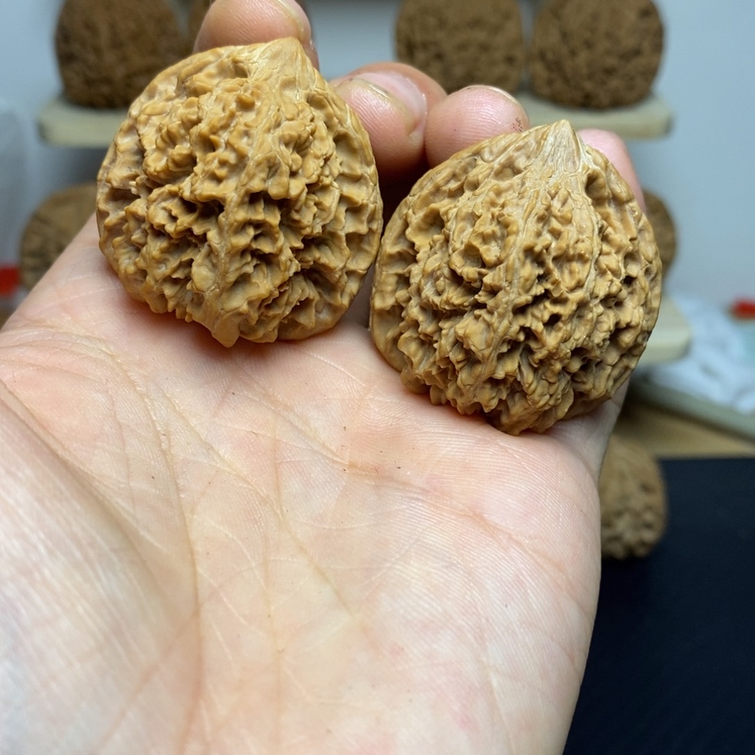 大叶紫檀（黑酸枝木类）37满天星