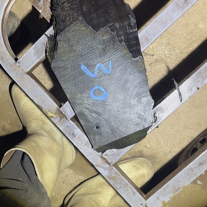 林***子金丝楠啊啊啊啊啊啊啊啊