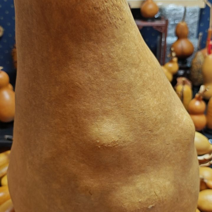 金***海直播间链接葫芦葫芦
