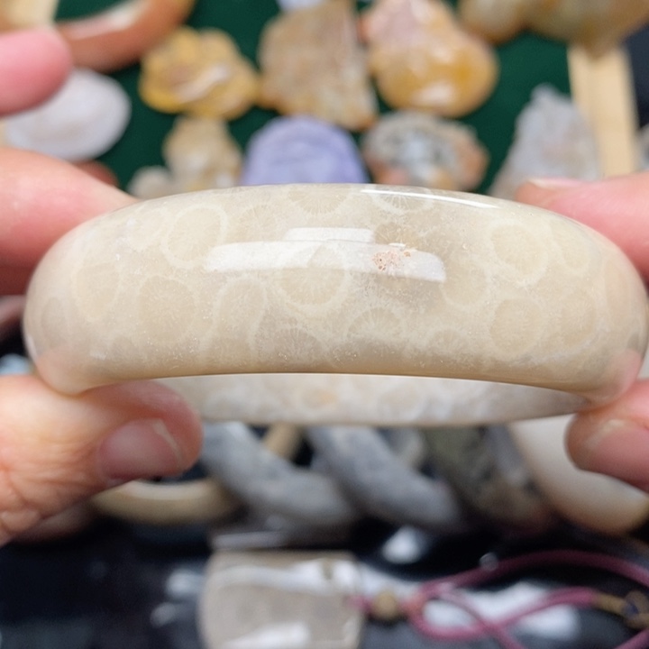 硅化珊瑚（珊瑚玉）手镯未镶嵌58