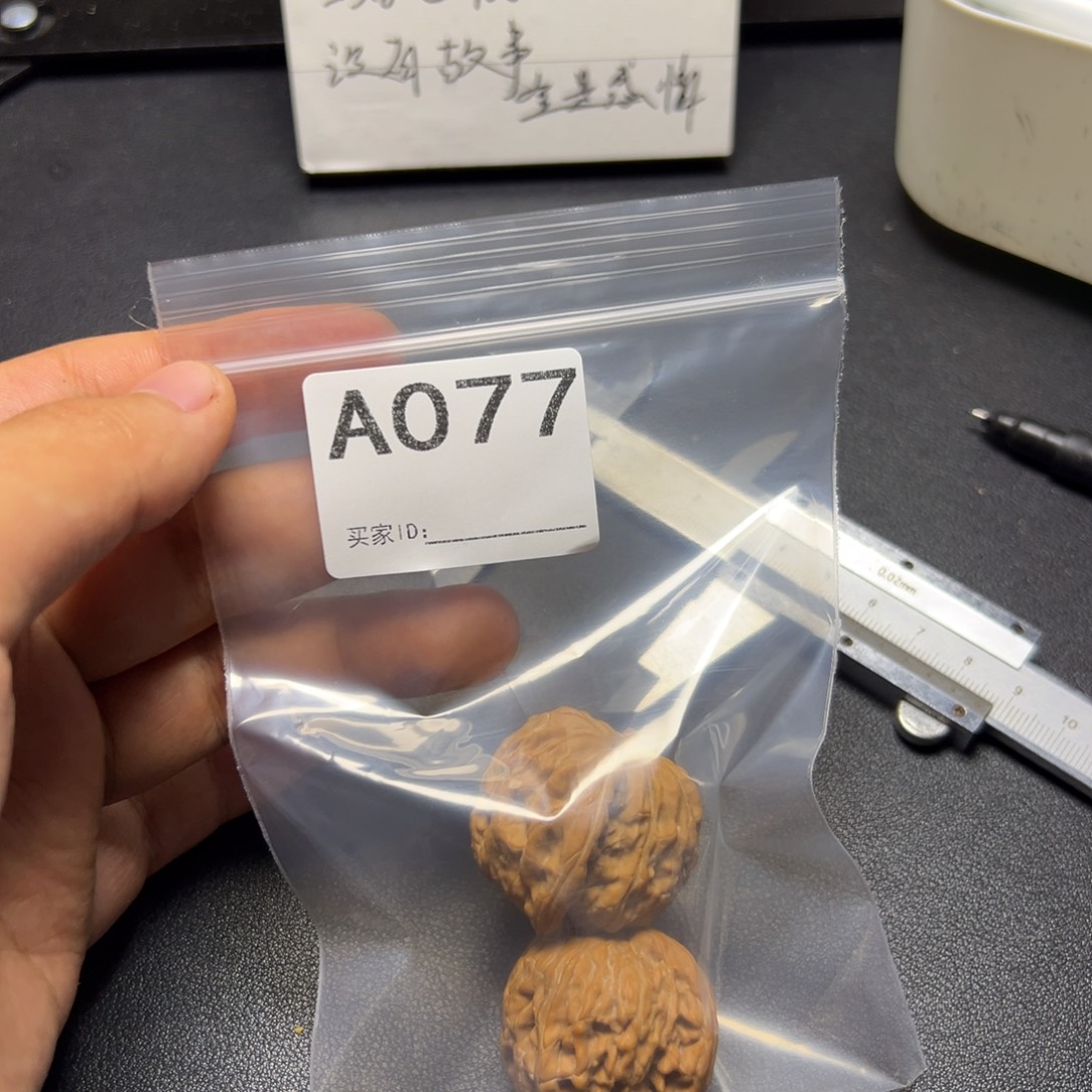 核桃哈哈哈哈哈我