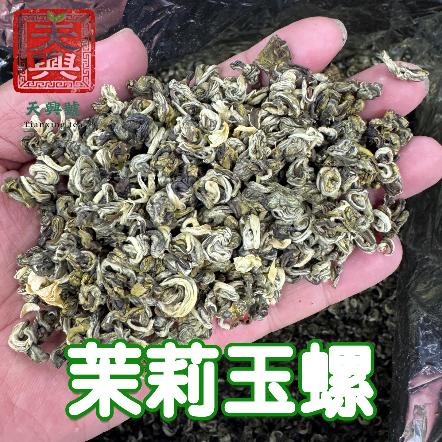 【天興號】茉莉玉螺2025新茶茉莉花茶浓香经典口粮茶试喝厂家直销