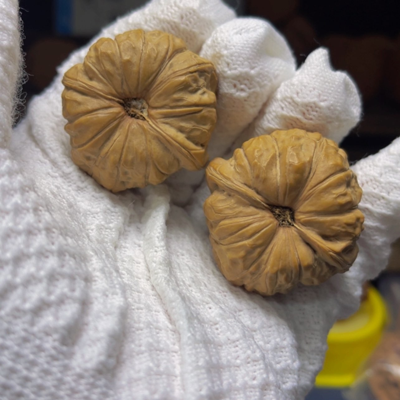 【闪购商品】核桃把件40尺寸南瓜墩