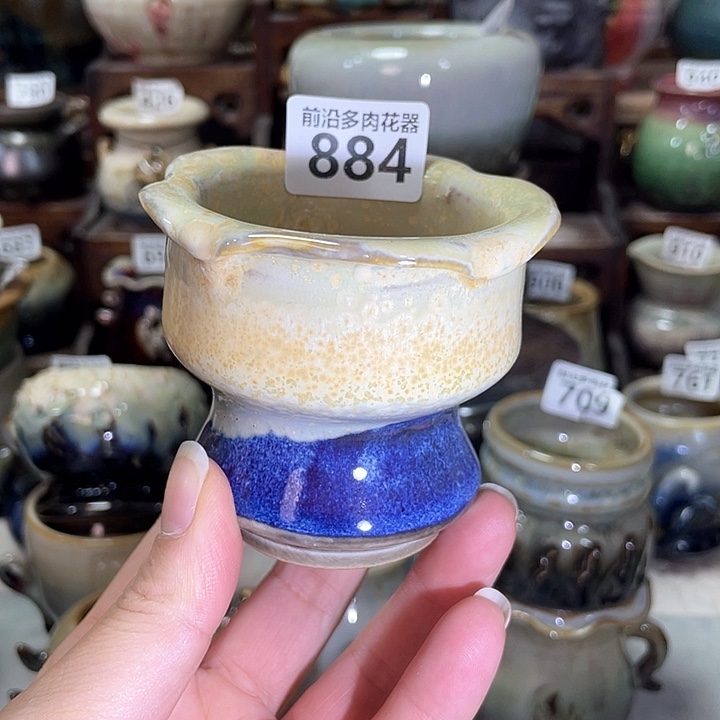 红陶内口径6高度6