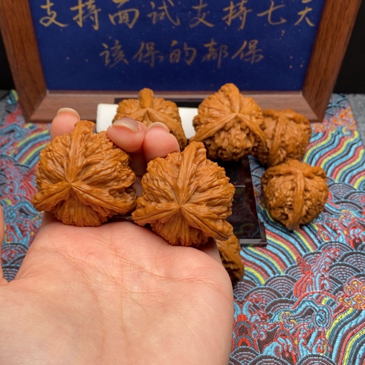 【闪购商品】。**。白狮