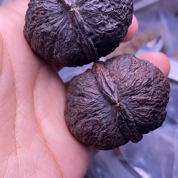 文玩核桃把件   35