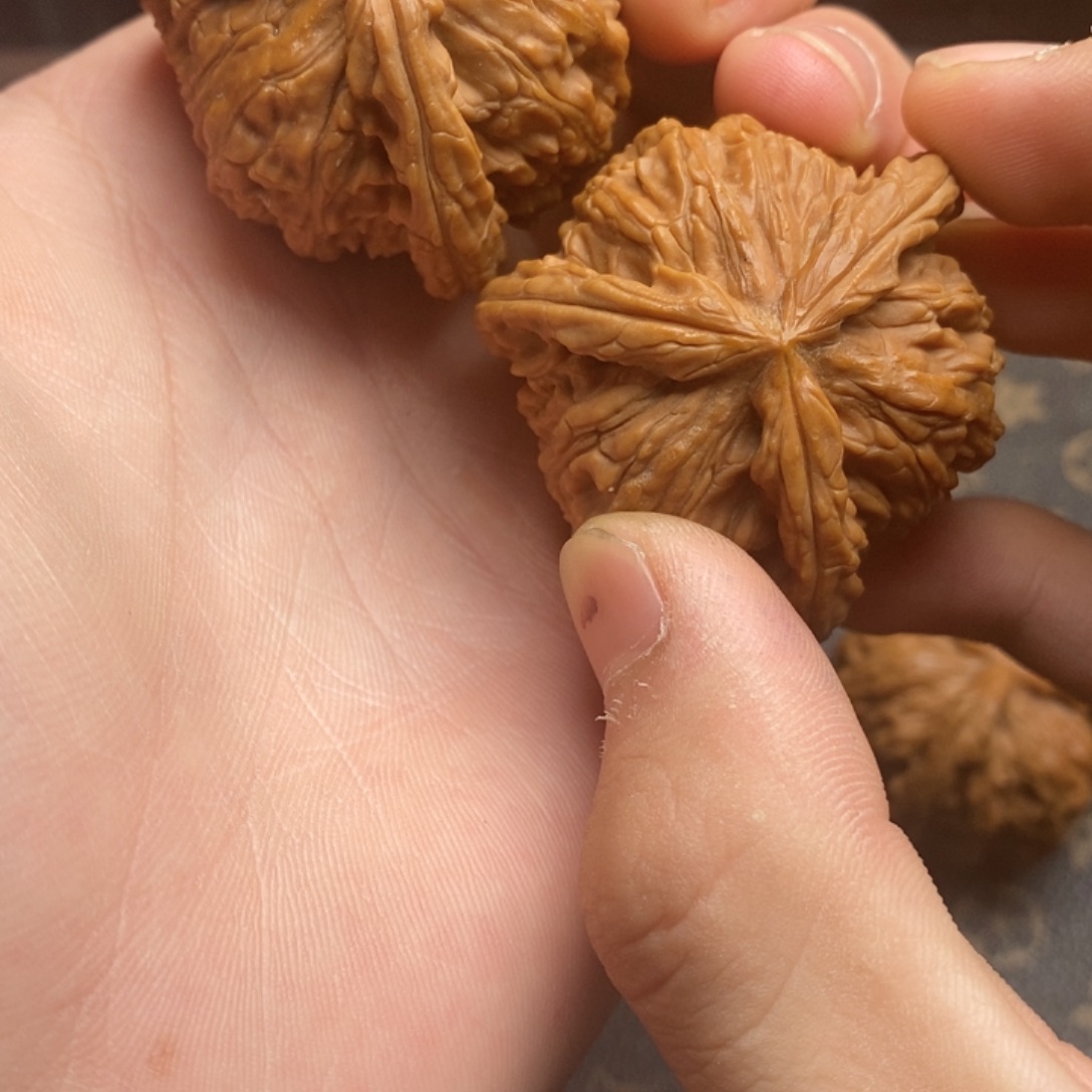 帥*哥白狮子11111111111