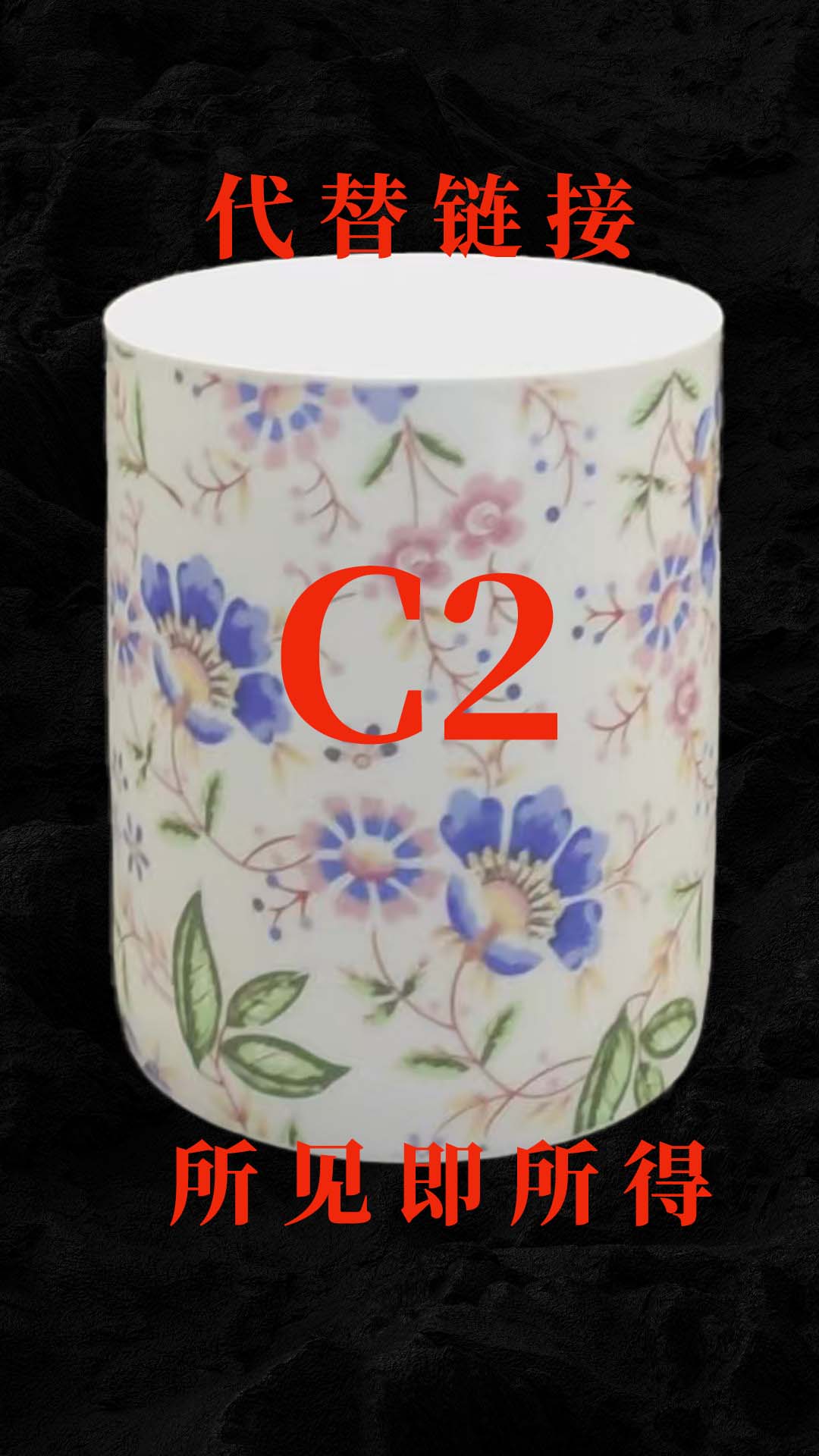 （代替链接）C粉彩收藏瓶2