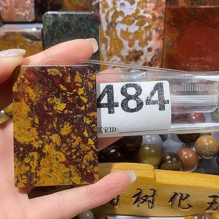 硅化玉未镶嵌天然北票树化玉吊坠