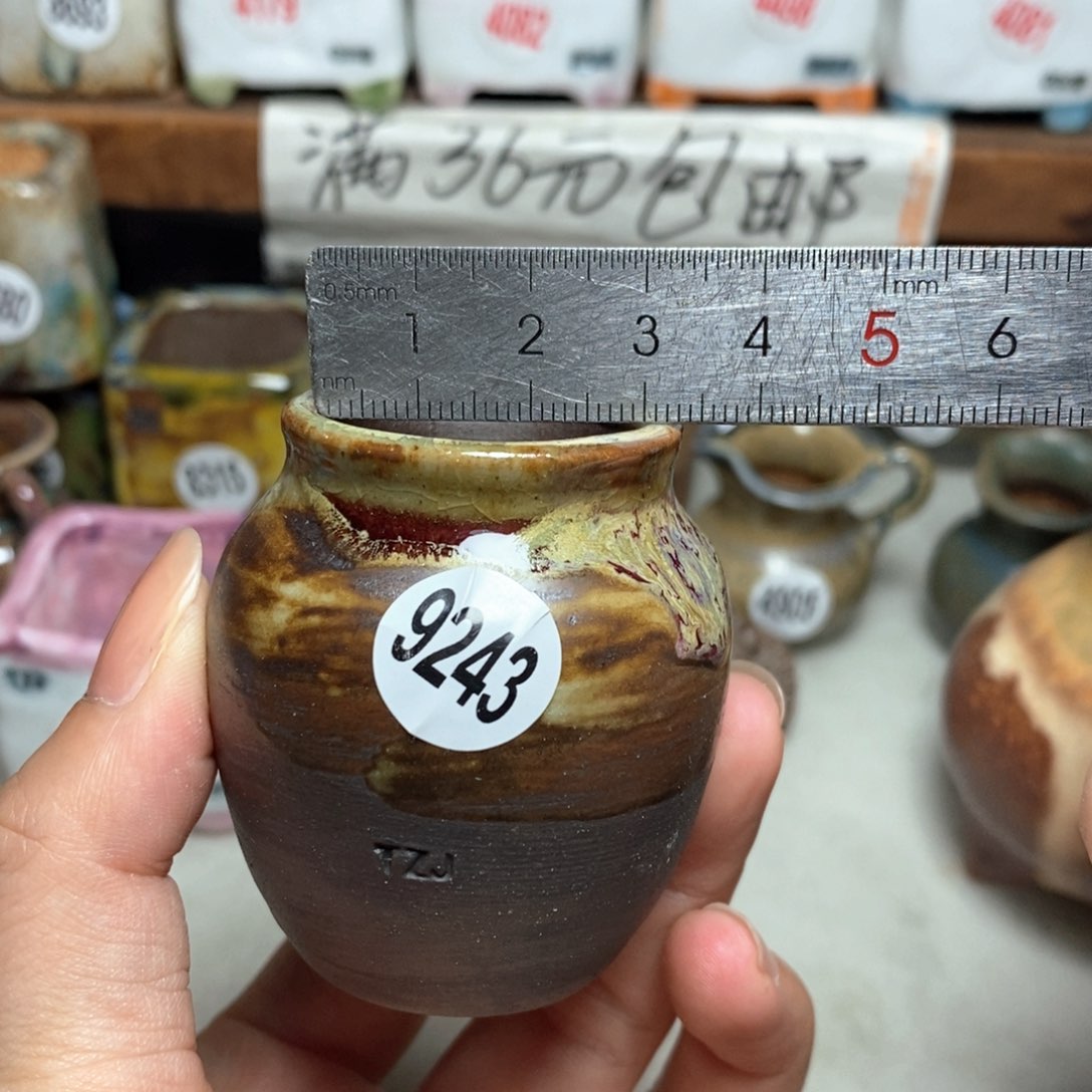 拍5送一个小礼物