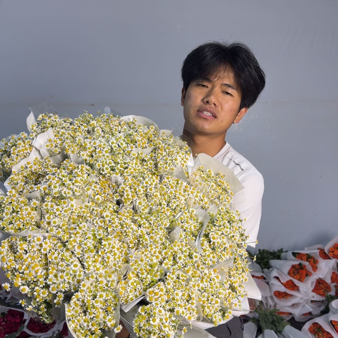 洋甘菊3扎包邮价秒杀