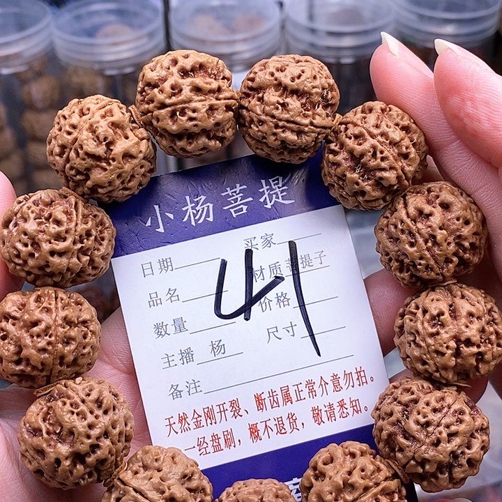 手串金刚菩提23.5/24双龙