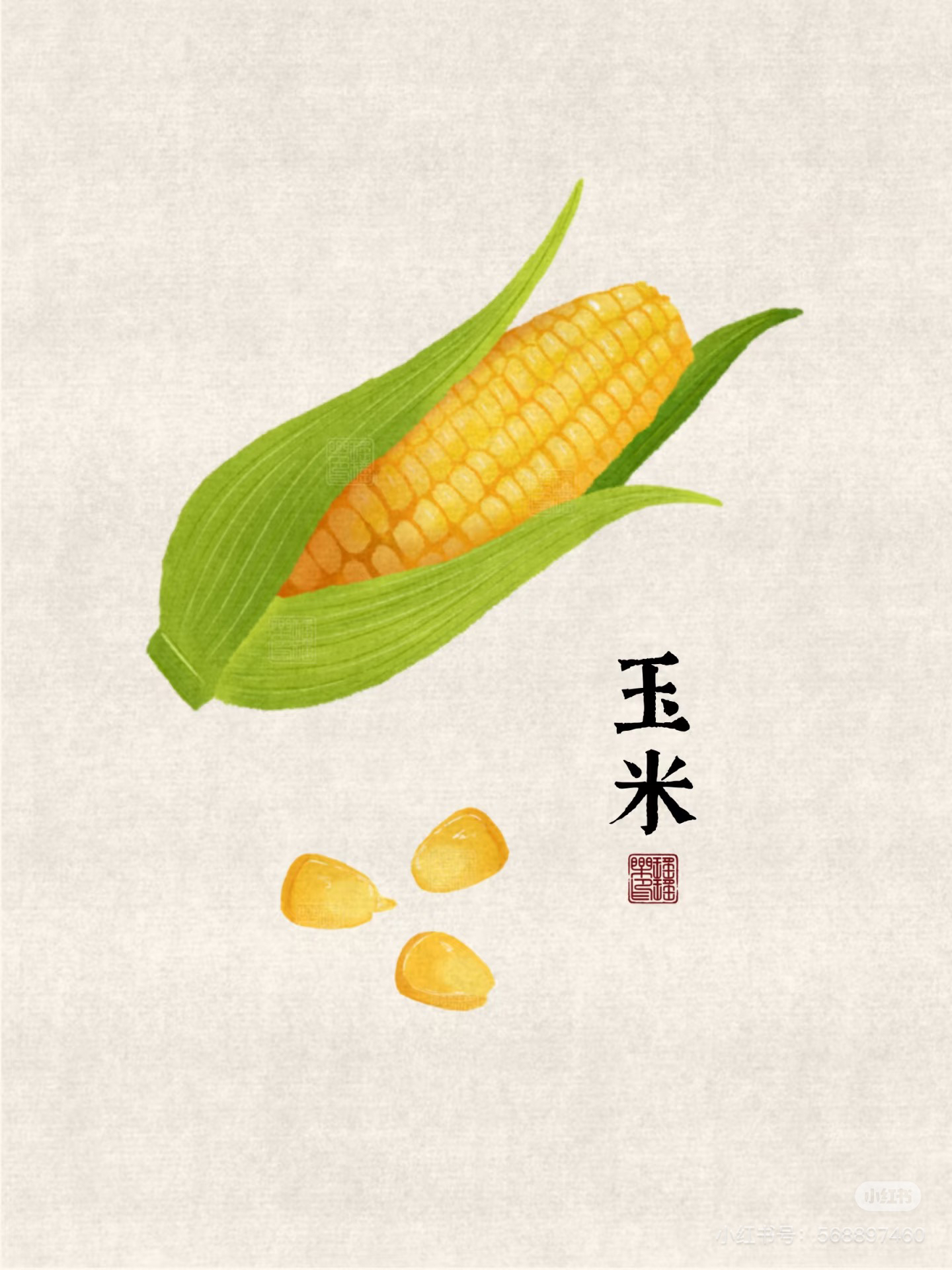 文玩玉米，直播间一物一拍，请勿直接下单！图片仅供参考3