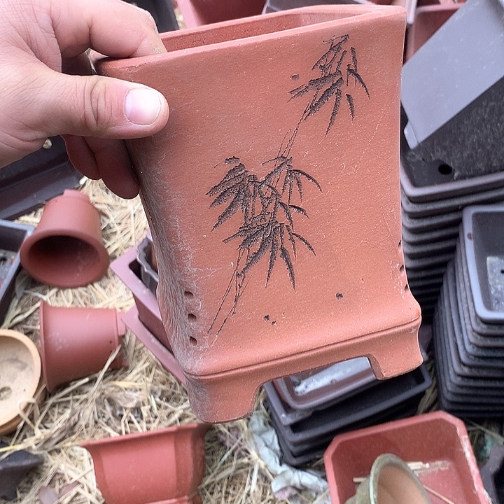 紫砂哈哈真的是太给力