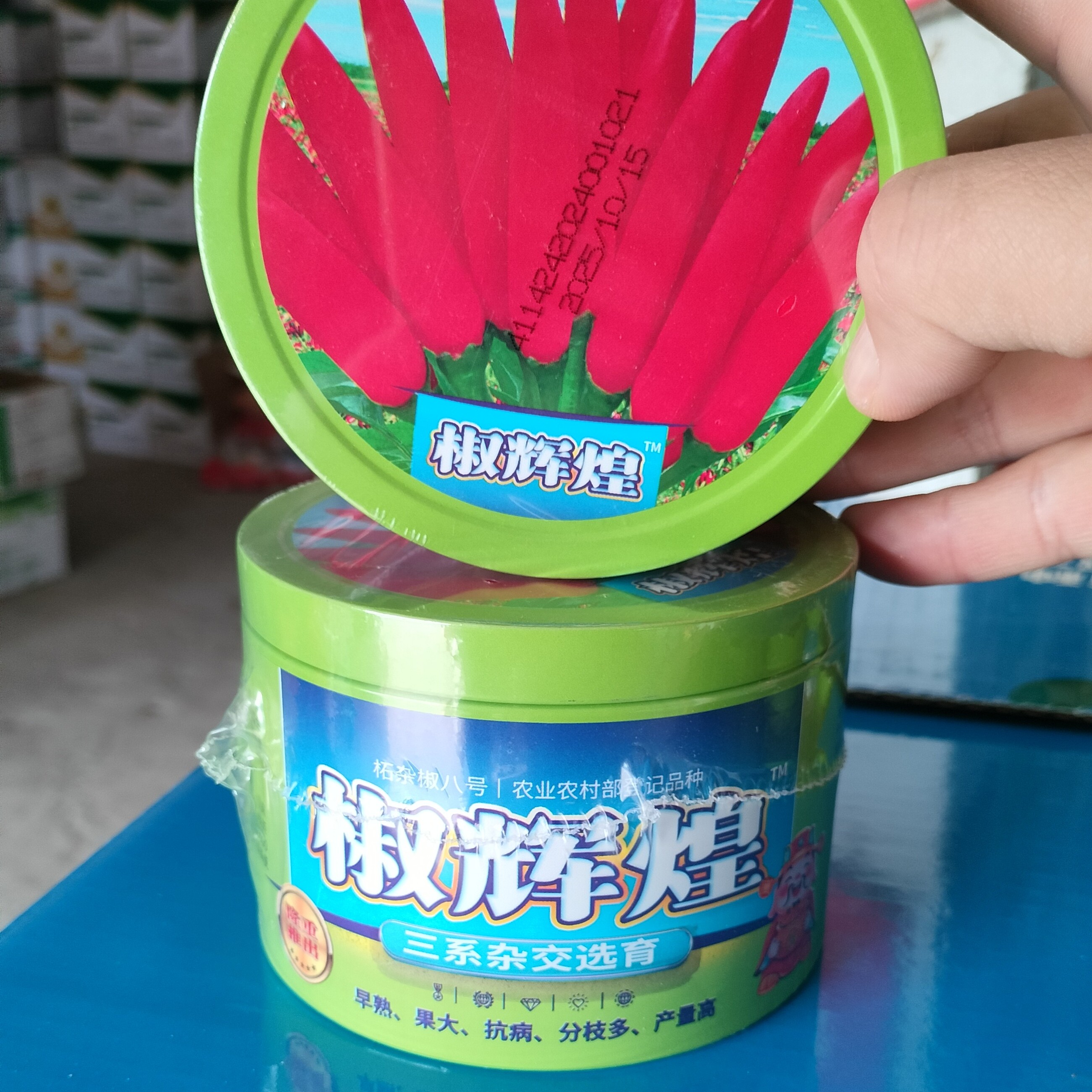 椒辉煌三系杂交选育不空颗抗病产量高买五送一