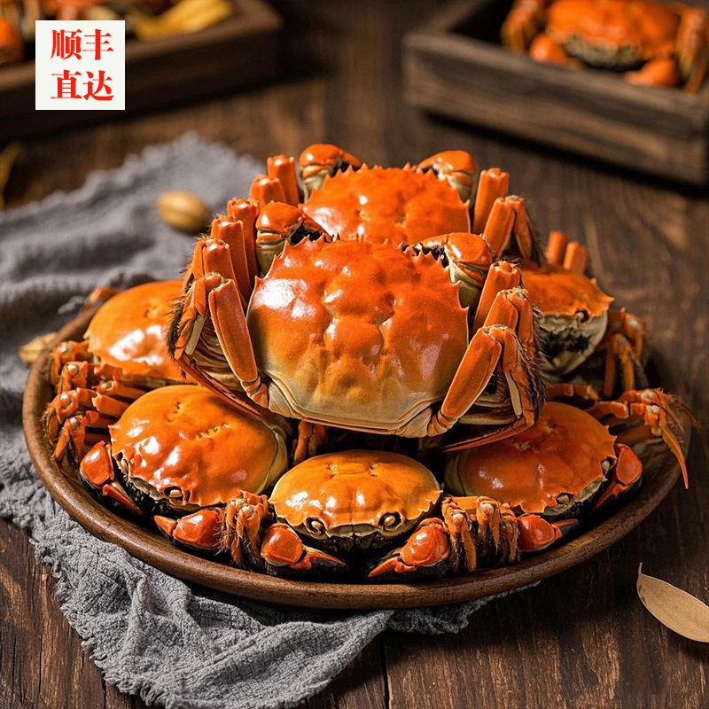 【指定日期发货】【江苏活蟹】10只全母【1.4两-1.7两】顺丰冷链包邮