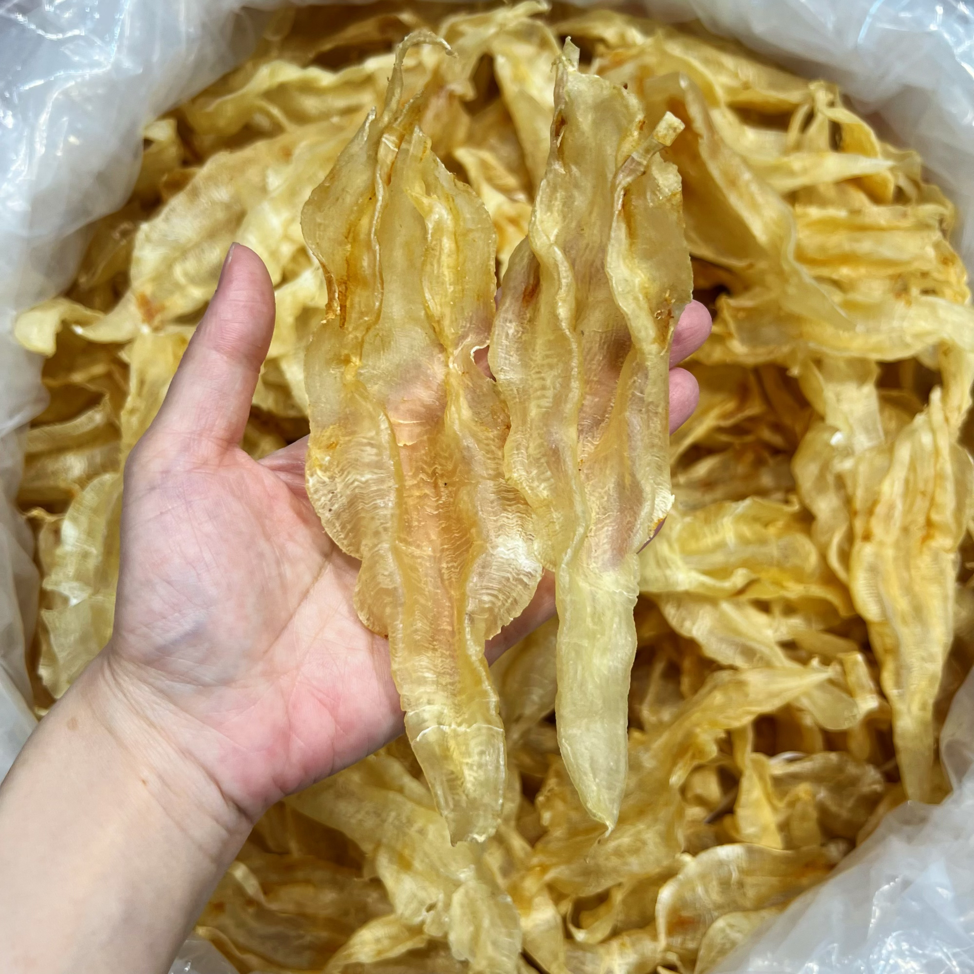 38T左右北海鱼胶干货滋补养生月子炖汤佳品