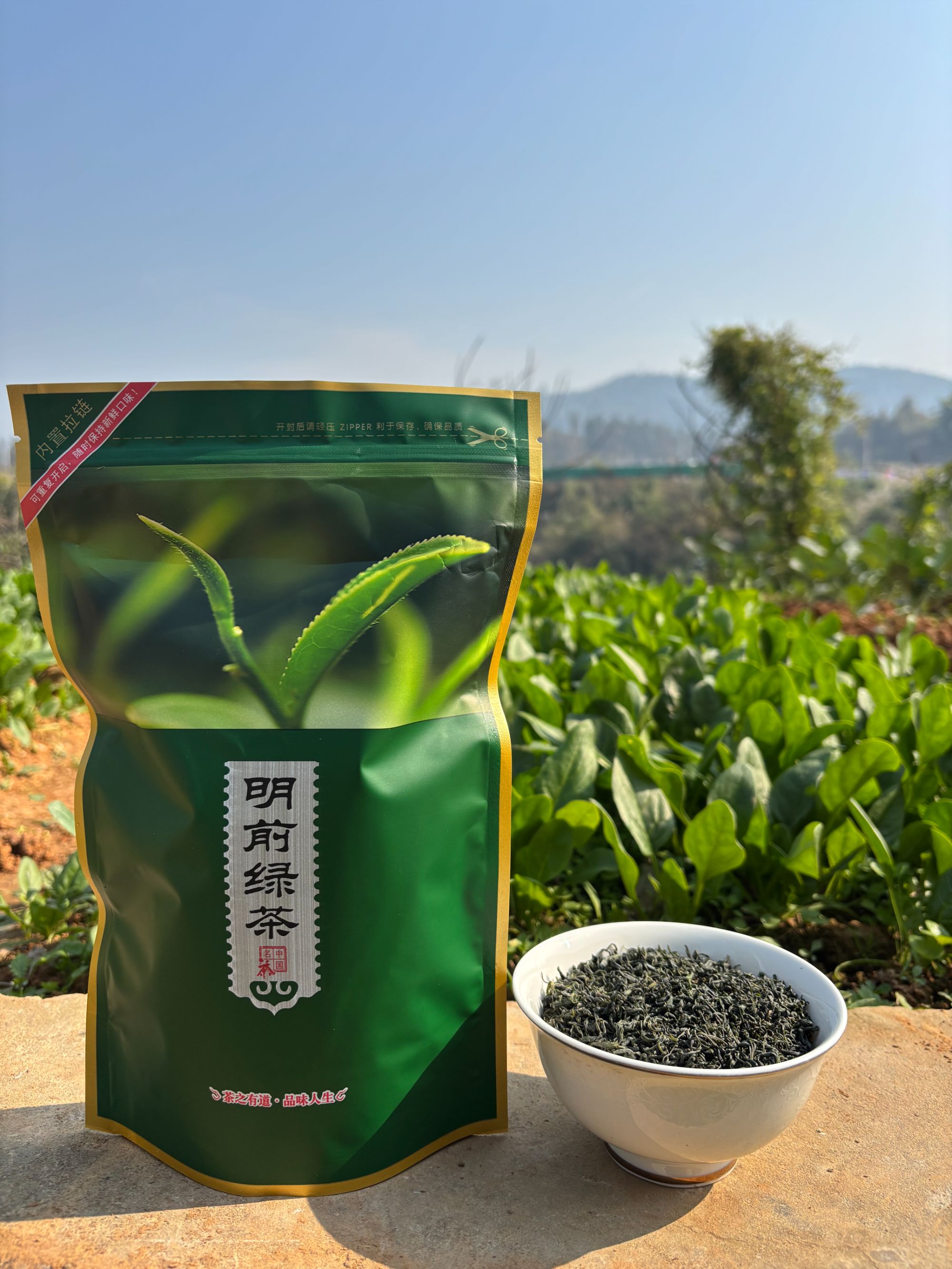 恩施高山绿茶炒青工艺茶耐泡好喝一号