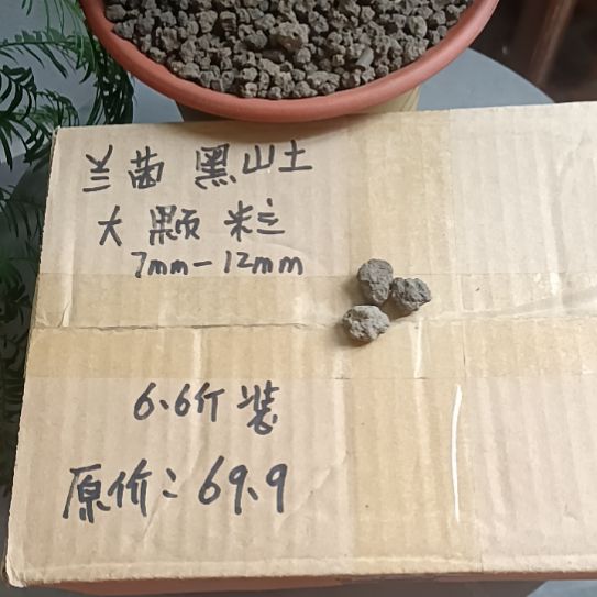 净***心兰菌颗粒大颗粒6.6斤