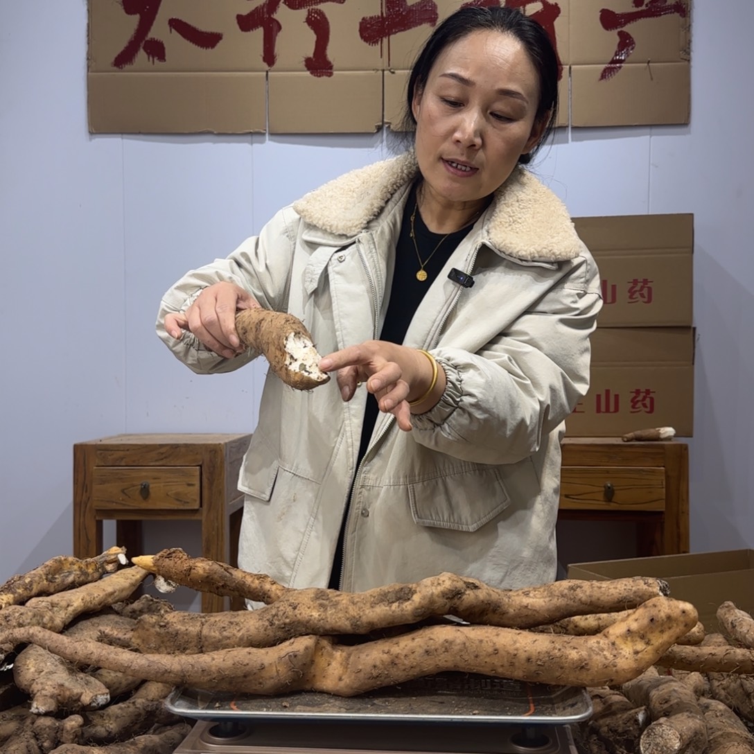 芝***糖中国大陆11111111