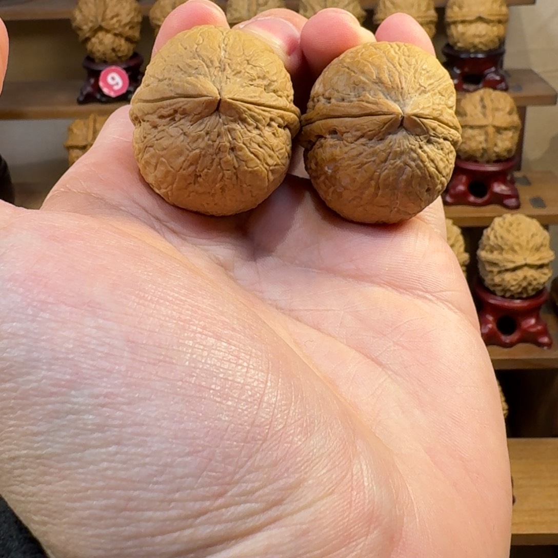 铁核桃把件粗筋皇冠