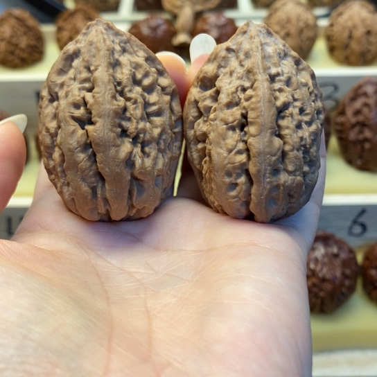 桃核把件东北秋子6