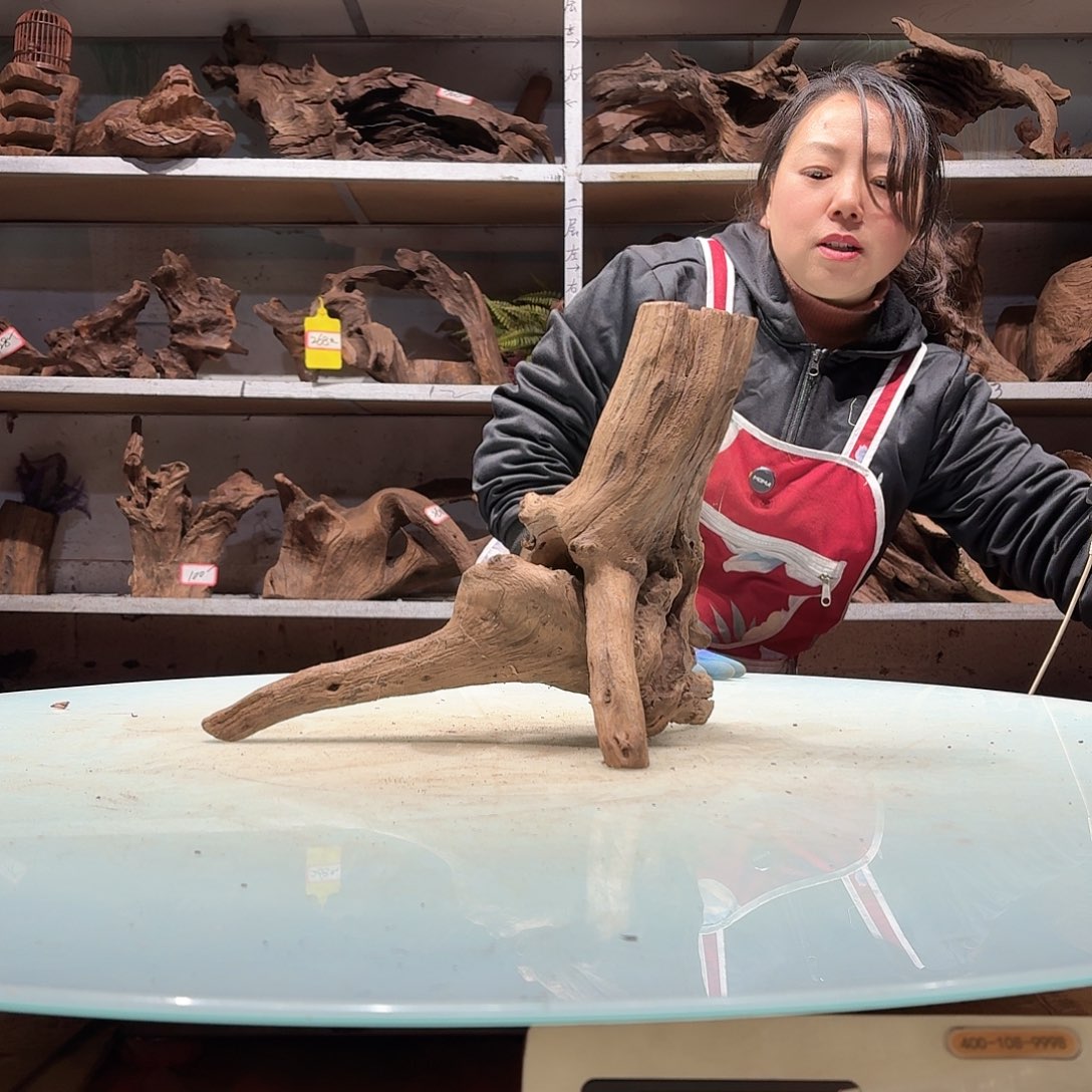 鑫品沉木不包损必褪色菠***26641