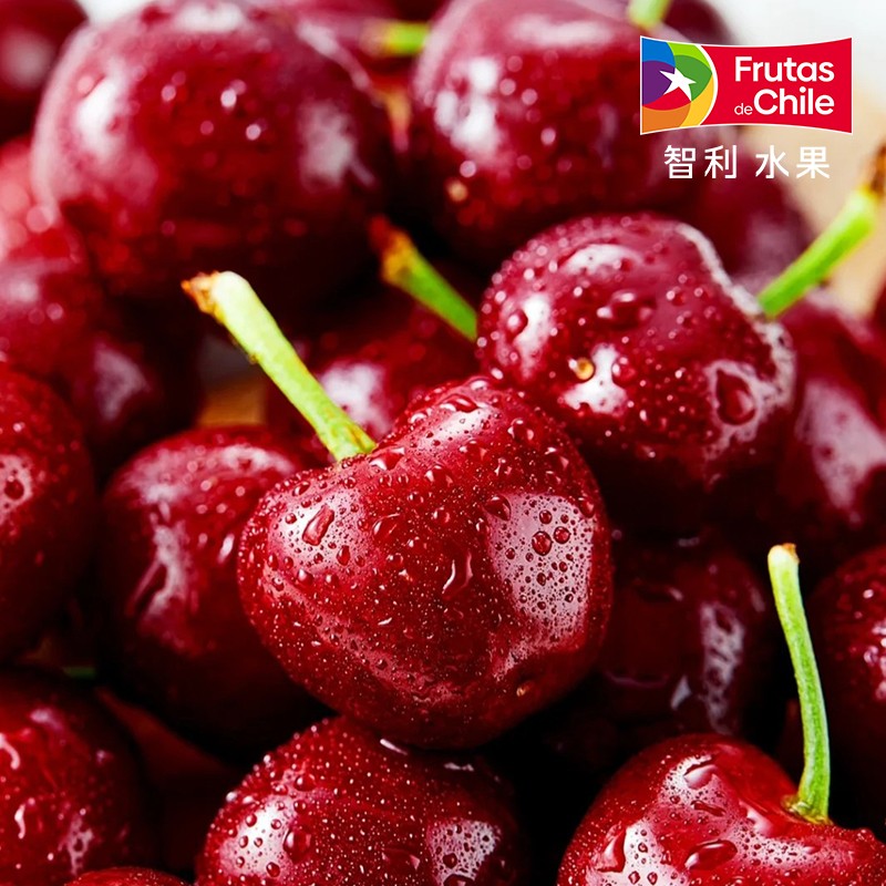 【进口桑提娜】智利海运进口车厘子2J/3J/4J级 2.5KG (内附果径卡)