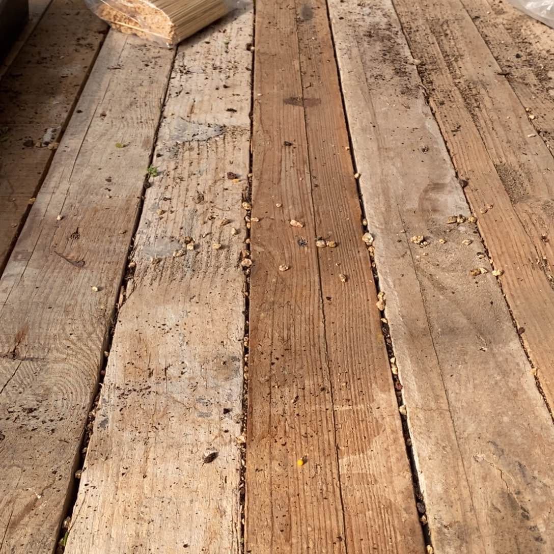 我****你我只是害怕失去你，发寄养