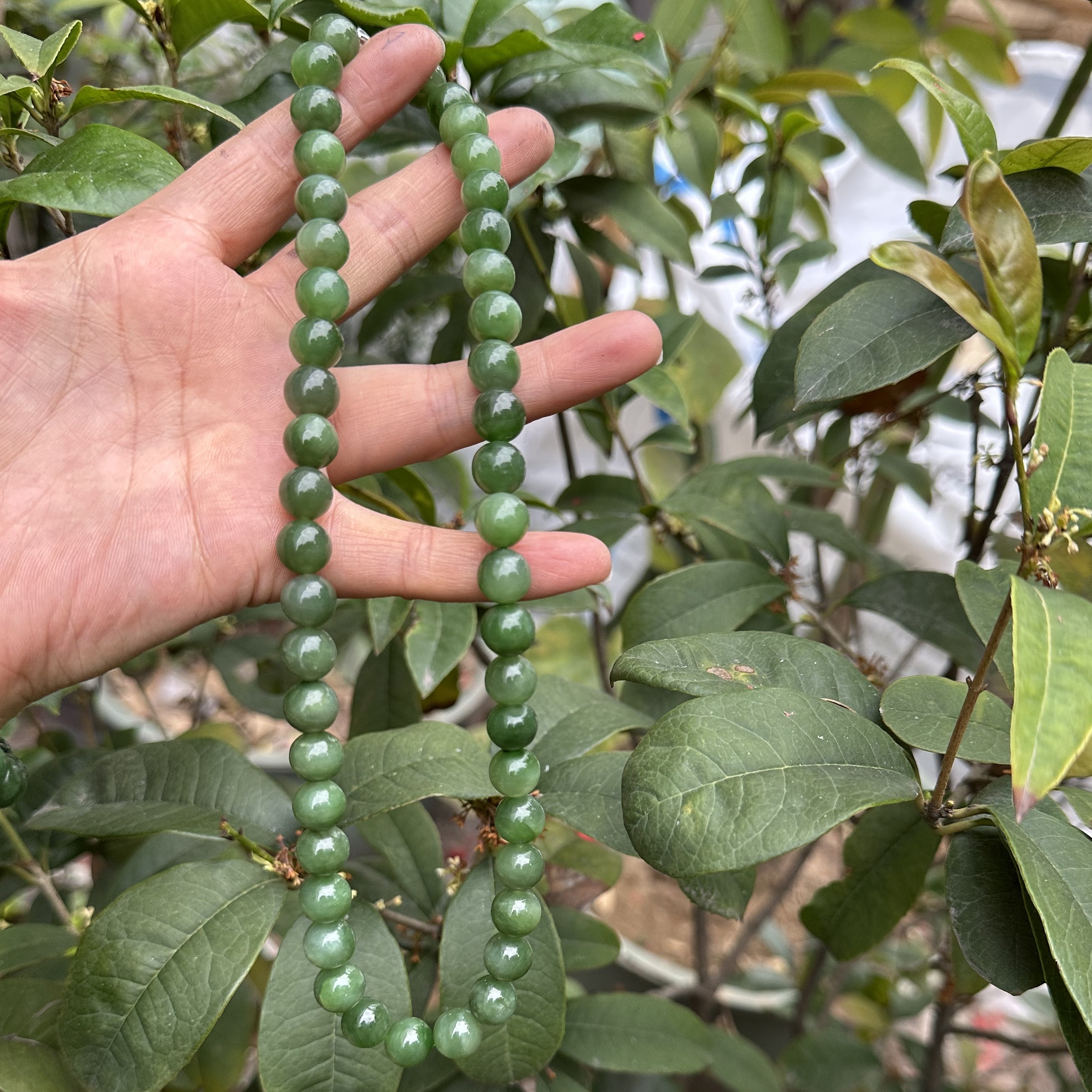 和田玉卡10妈妈链冰果绿