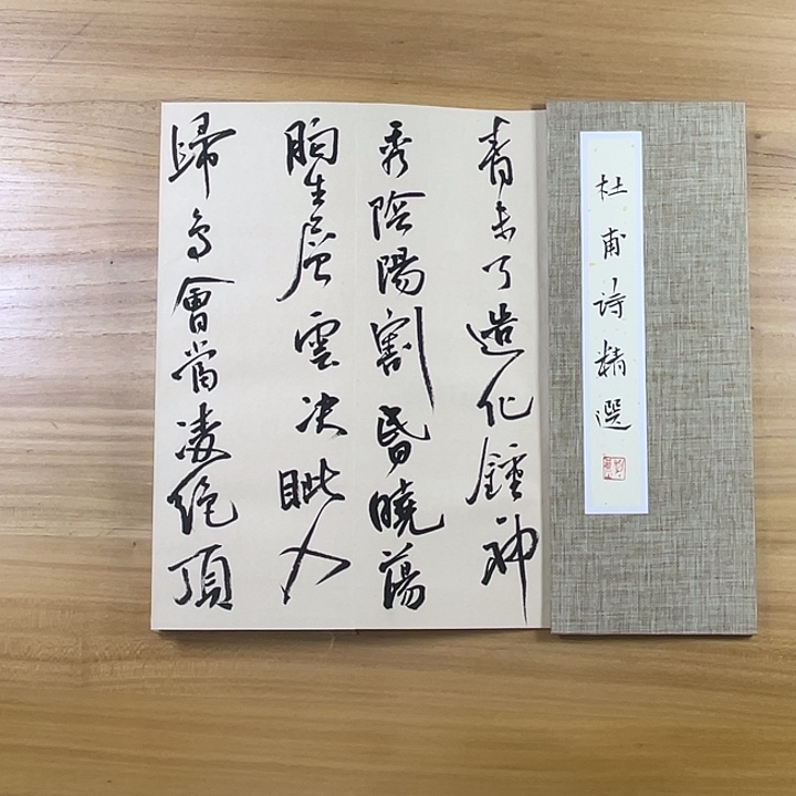 书法中书协老师作品