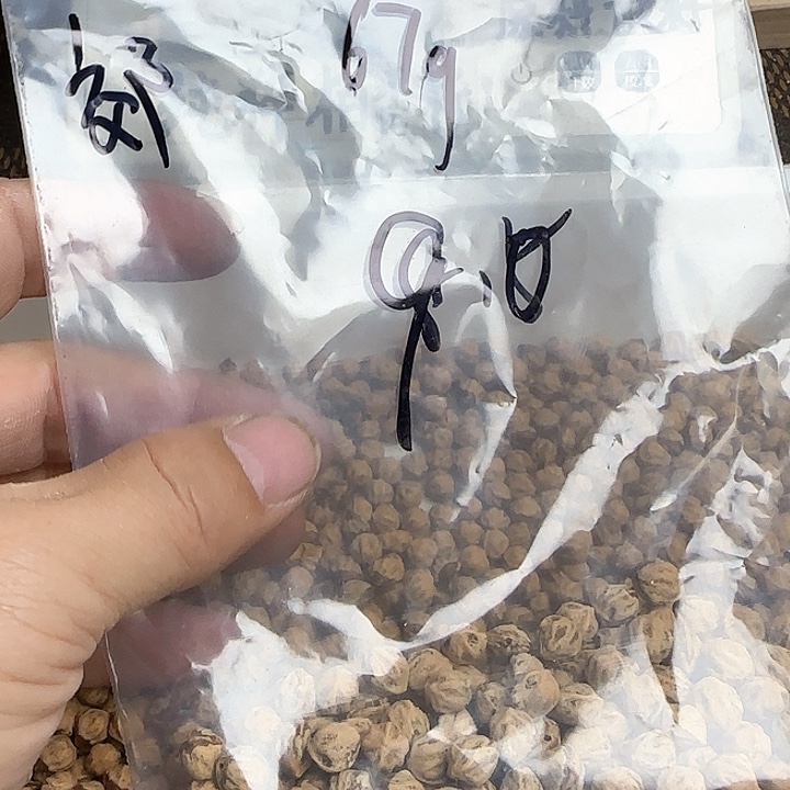 郊***1柏香籽/百香籽吊坠